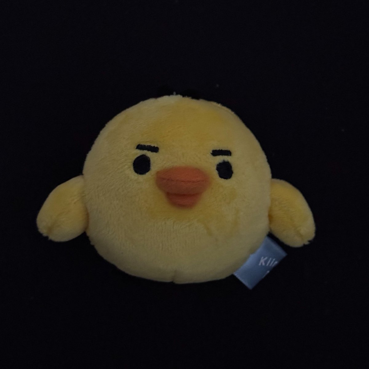 atxluvz's tweet photo. https://t.co/xSuIkkTNFY
