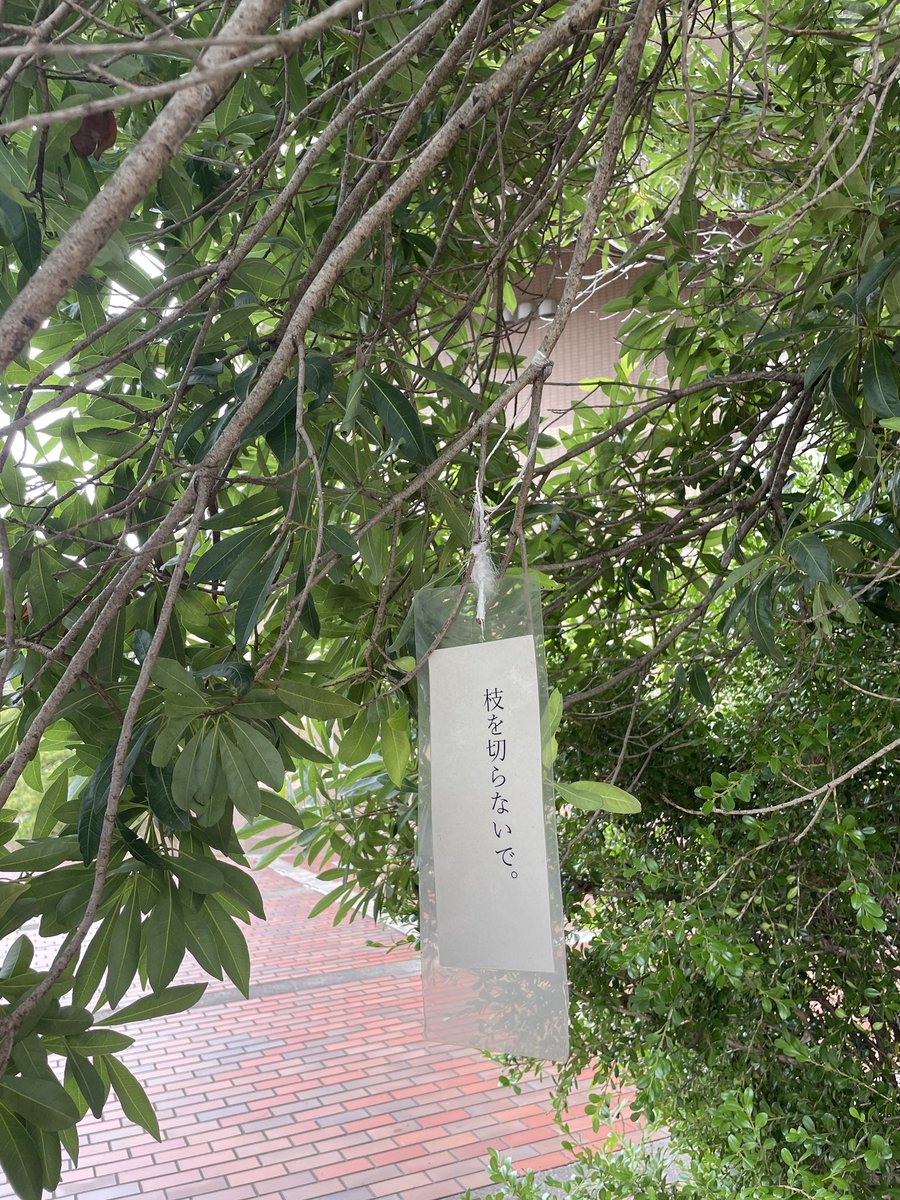 えび (@s__hrimp) / Posts / X