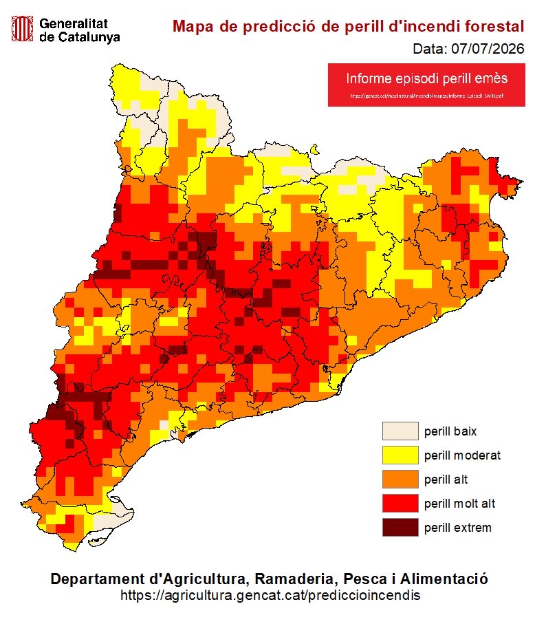 agriculturacat's tweet photo. 📍Avui el perill d’incendi forestal augmenta respecte a ahir i serà molt elevat a gairebé tot el país.

🟣 105 municipis amb perill extrem
🔴 379 municipis amb perill molt alt
🟠 380 municipis amb perill alt

⚠️ Molta precaució i prudència.

📞 Si veus foc o fum, truca al @112. https://t.co/eBA32hILA5