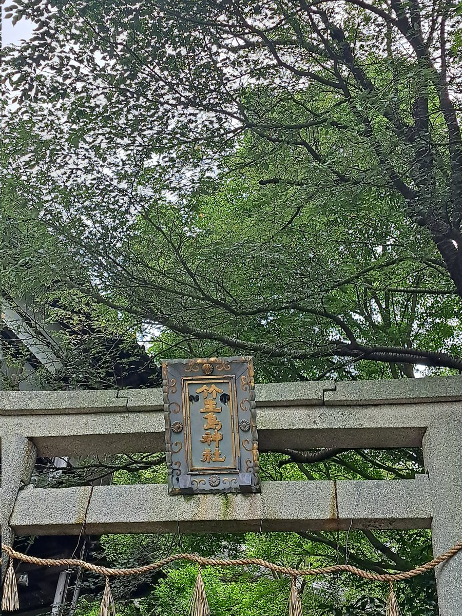 775kSe's tweet photo. 神々の住む島は今日もやっぱり神々しかったです✨

#竹生島 https://t.co/sWtNC3st5R