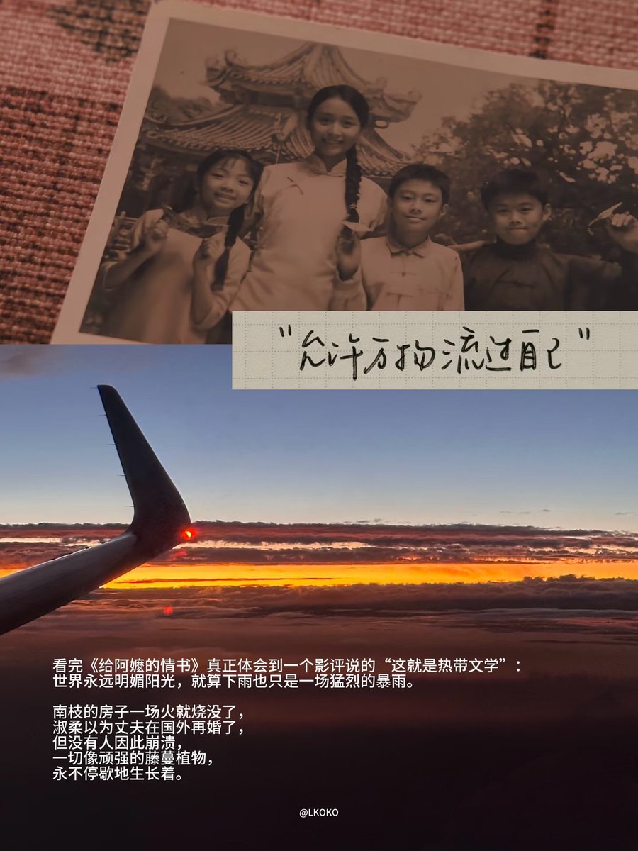 MaxCang_0317's tweet photo. 看完《给阿嬷的情书》真正体会到一个影评说的“这就是热带文学”。这部电影淡淡的，没有在命运里怨怼吃醋崩溃的女人，没有过度刻意的苦难叙事，半生误会解开时，只有心照不宣的彼此体谅。这份温柔就像山茶花的香气，不张扬不浓烈，却能抚平所有不安和毛躁。 https://t.co/XqjMkwucT6