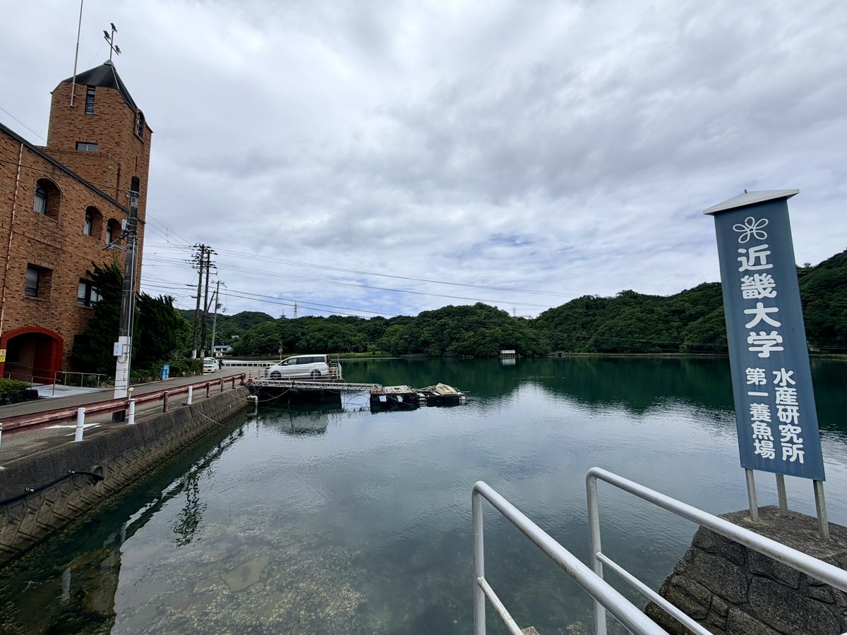kinkidaigakuPR's tweet photo. ちょっと難易度高いかもですが、この中にヒラメが潜んでいます🐟 https://t.co/mStVX8Ogsc