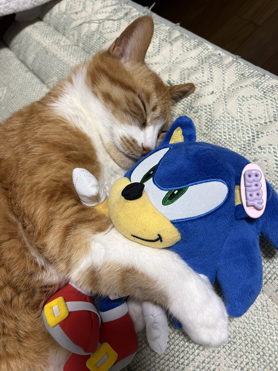 uruku__'s tweet photo. これ素晴らしい写真 https://t.co/lDh1qLclvD