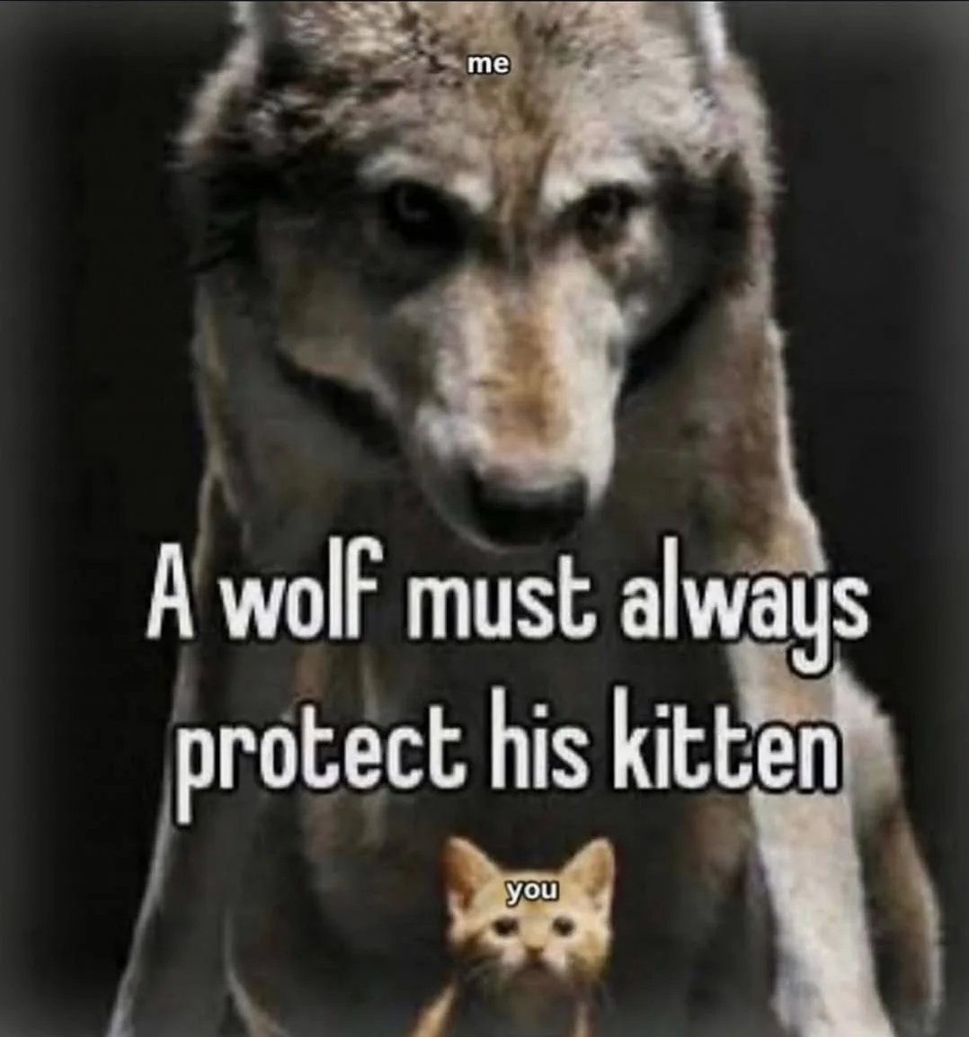 Barking Puppy tweet media
