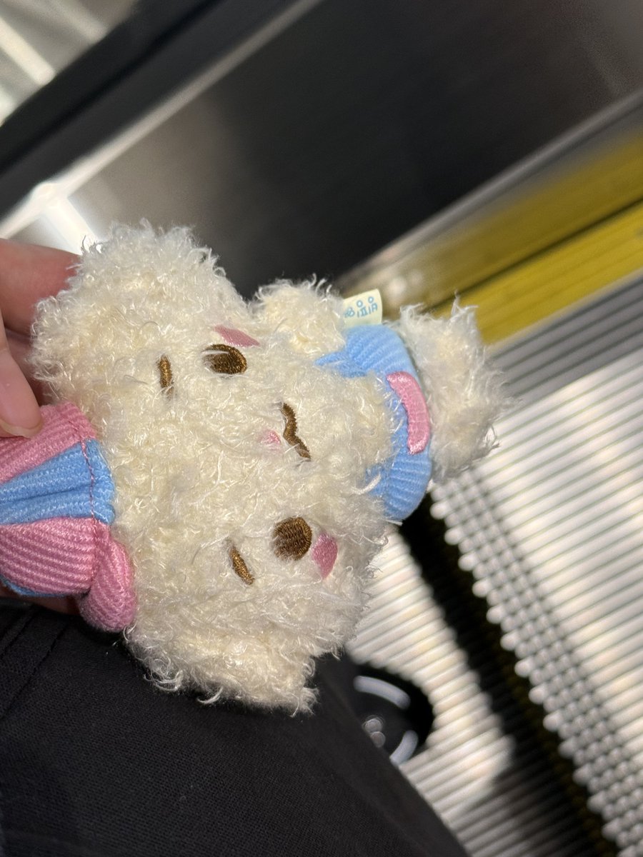 ht2ht_328's tweet photo. タワレコ行って気付いたらレジに向かってた🤭 https://t.co/hDO8NIU40m
