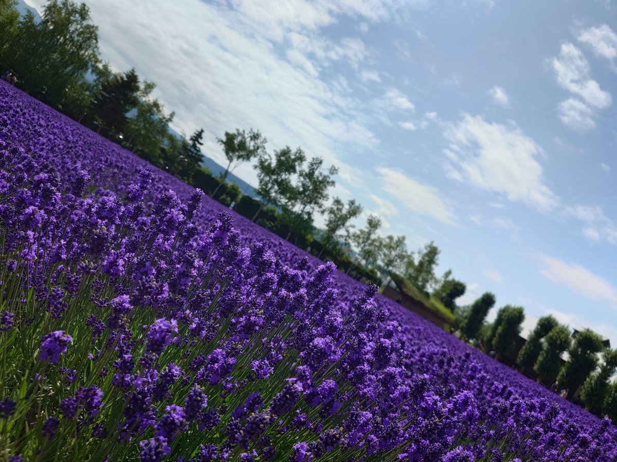 yasu____21 tweet picture