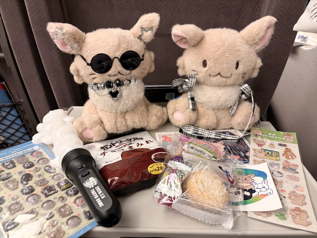 ぽにゃദ്ദി^ᴗ ̫ ᴗ^₎ tweet media