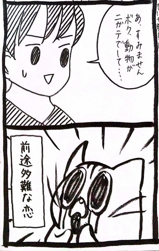 usagitoseino's tweet photo. 恋する猫の話 https://t.co/zxflnQzGR9