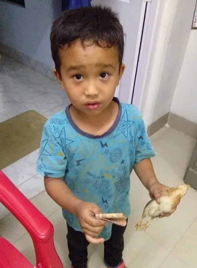 AcervoCharts's tweet photo. Após machucar um pintinho com a bicicleta, menino de 6 anos leva suas economias ao veterinário para tentar salvá-lo. https://t.co/SvC7aPIHUN