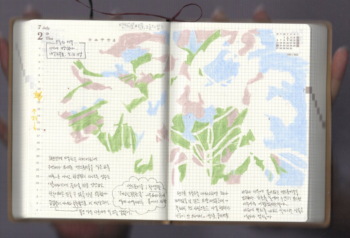 moojuepress's tweet photo. 지난 주의 수집 … 
개맥문동과 바랭이 덴드로비움 https://t.co/BuPbCjF1tL