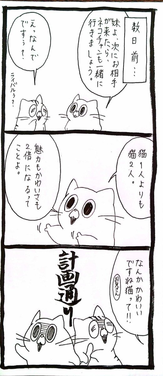 usagitoseino's tweet photo. 3 https://t.co/m6mPum8adW
