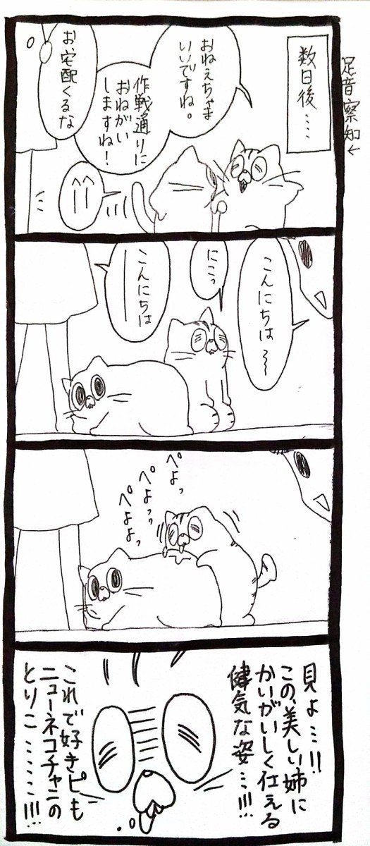 usagitoseino's tweet photo. 4 https://t.co/kIBfTbsoF3