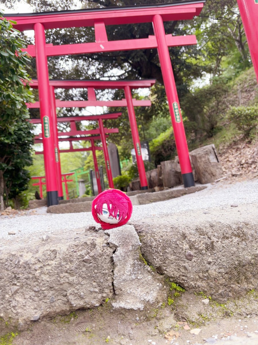 suama_8b's tweet photo. 織姫神社 ✧*｡.*･ﾟ https://t.co/ygrjU8KS2o