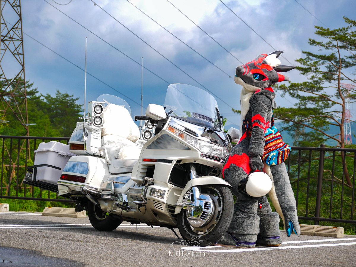 kojirasesandayo's tweet photo. 🐉✖︎🏍️
これ自撮り!
#gl1500
#fursuti
#dragon https://t.co/EYS3w0ktjF