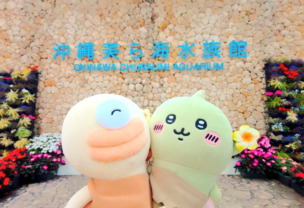 doumori1230's tweet photo. 美ら海水族館にやってきたオデとゴブリン🐟🐠 https://t.co/QvrYPYPWFy