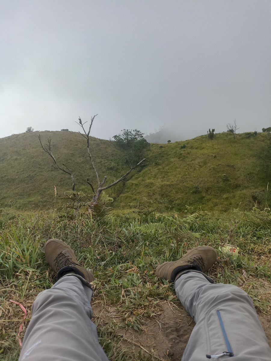Wong_Merapi's tweet photo. Menapakkan kembali ke Gunung Merbabu https://t.co/6aGsAAYvSw
