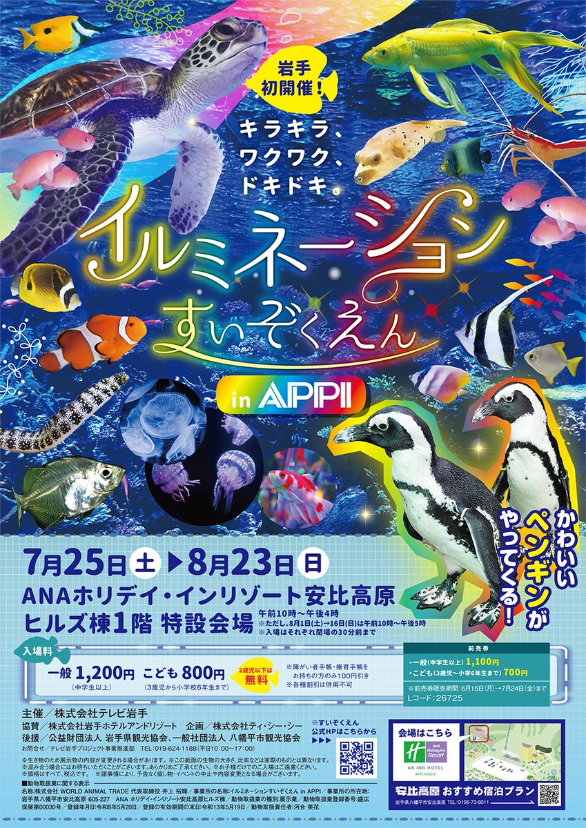 TVI_ibento's tweet photo. 🐟✨7/25～8/23開催！
【イルミネーションすいぞくえん in APPI】
お得な前売券好評発売中！

🔍遊べるコーナー（1回200円）
 金魚すくい＆ヤドカリ釣りにチャレンジ！🐠🦀
※生体のお持ち帰りはできません。
https://t.co/YXNpWMD0R5
#イルミネーションすいぞくえん #安比高原 #APPI #夏休み https://t.co/KmuevXIdWy