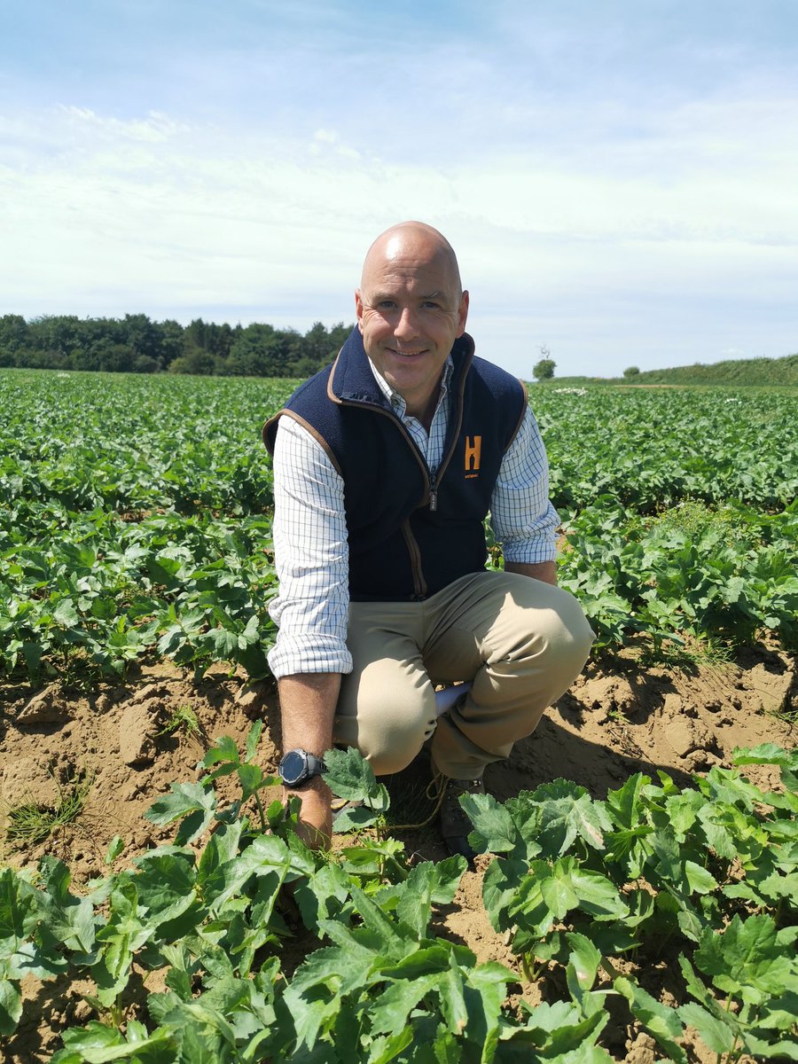 PhilipCaseFW's tweet photo. Huntapac company agronomist Gabe Mellor explains carrot and parsnip production challenges - access to water, land availability, labour and actives, all key topics. Gabe is shortlisted for @FarmersWeekly Arable Adviser of the Year award. #Huntapac #FarmingUK #FWAwards26 https://t.co/FbJbzPuMRW