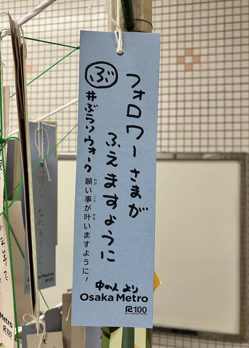 burariwalk's tweet photo. 本日は七夕🎋

実は昨年
こっそりお願いしておりました☺️

おかげさまで
フォロワーさまは
じわ〜〜っと増えております🥹

引き続きよろしくお願いいたします😊

#ぶらりウォーク #七夕 https://t.co/M8I8eqPx3K