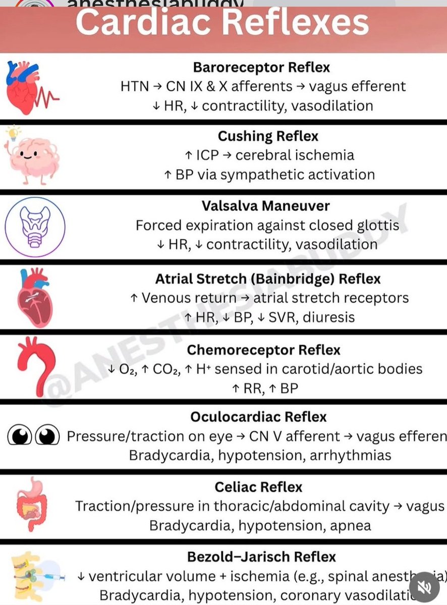 drsthanus's tweet photo. Cardiac Reflexes Overview

https://t.co/GvgQ1OWz7M https://t.co/jiCUo5bHZw