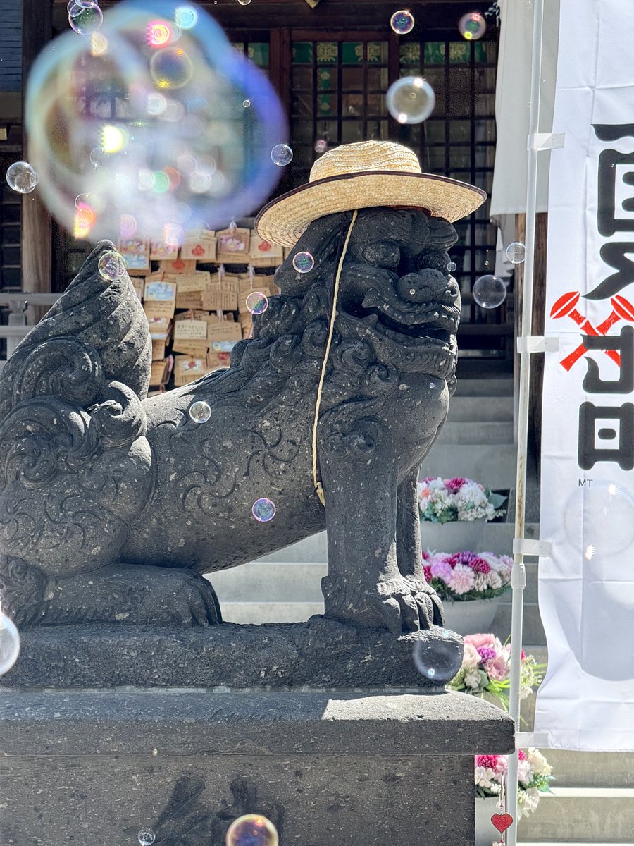 yutavd1's tweet photo. 『札幌諏訪神社』で撮影した花手水などの写真になります。
⁡
伺った時は比較的シンプルでしたが、紫陽花の花手水が綺麗でしたね。
 
ここ最近だと、シャボン玉が飛ばされていたり、出店もあったりと、 いついってもお祭り状態の神社ですよね(^-^)
⁡
◾️7月4日撮影
#キリトリセカイ
#札幌
#北海道 https://t.co/oppo73dWWt