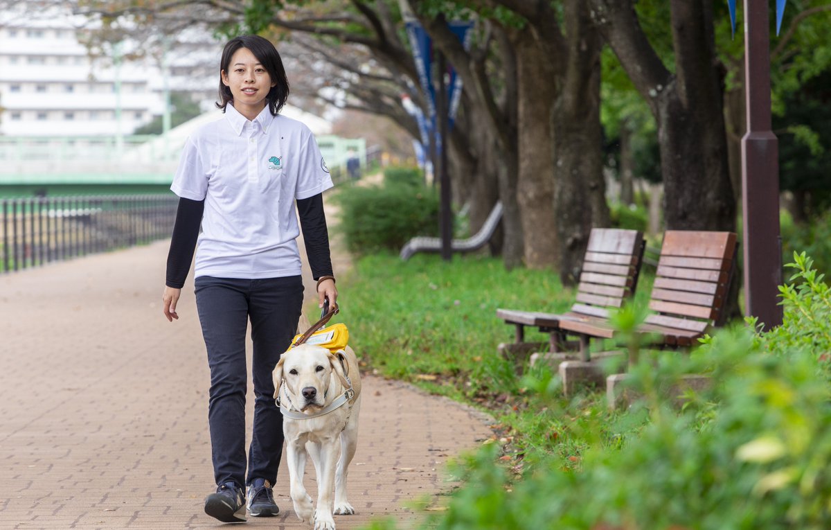 JGDA_GuideDog's tweet photo. 📢「盲導犬訓練士を目指す人」を募集！

本日7/13から応募受付をスタートしました✨
（受付〆切は8/7まで）
みな��まからのご応募、お待ちしています！
https://t.co/6AGocI5gcm

詳細は募集要項のページをご覧ください🔍
同時に訓練士学校の説明動画も配信中（希望フォームで8/7までの受付です）

また訓練士学校レターでは、職員たち目線の話や新入職員たちの声をまとめた過去の記事も配信しています。よろしければご覧ください🌈✨
https://t.co/hhlraYCQPj

#盲導犬 #日本盲導犬協会 #視覚障害 #盲導犬訓練士