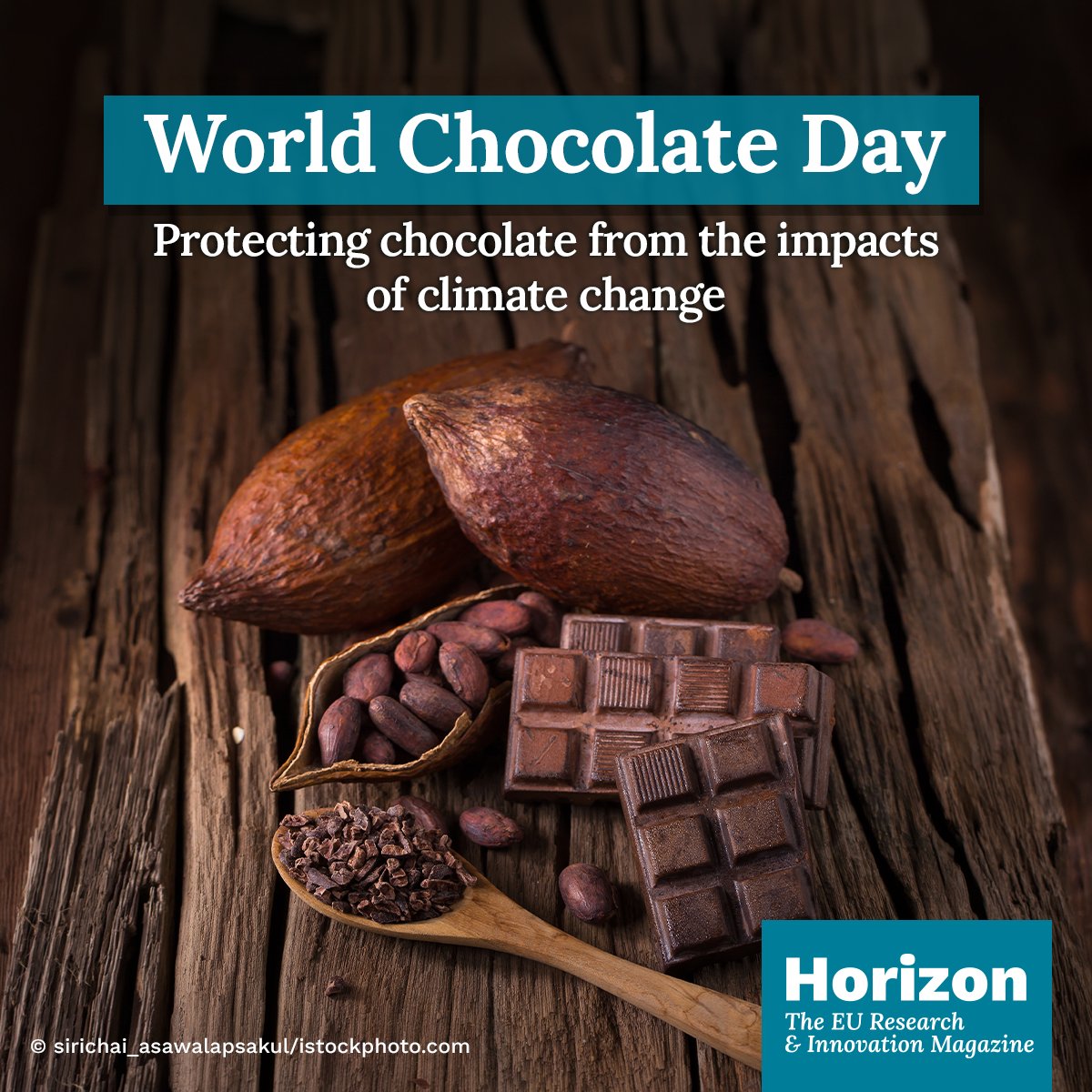 Can science secure the future of chocolate? This