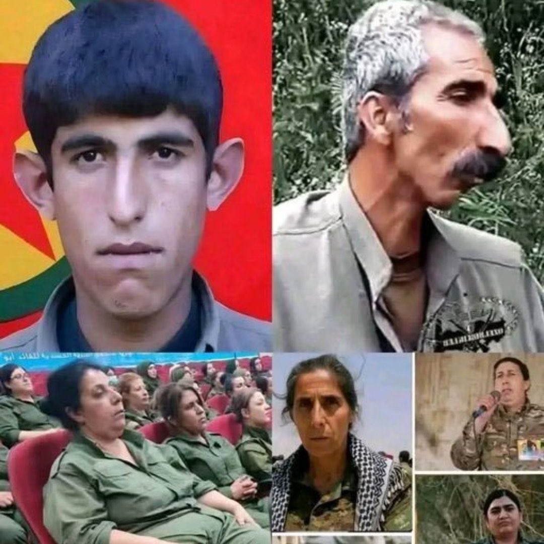 mert_zerger's tweet photo. @radikalkurdd Senin ırkın şöyle birşey ölüsünü siktiğim. Şuraya bok resmi koysam daha az mide bulandırır şu fotoğraf. Atam iyi emir vermiş de bebeklerinize kadar bombalamışız Tunceli’yi. Yoksa bu görüntülere fazla maruz kalıp hastalık kapabilirdik. https://t.co/INCFU1hTw2