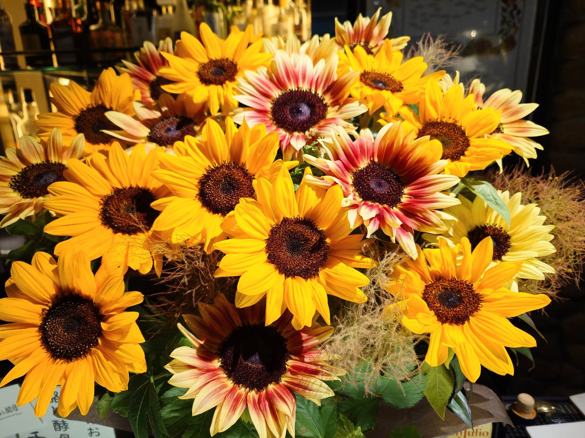 CovoBar's tweet photo. なんと！お客様からMISIAお誕生日だからとお祝いのお花を頂きました🌻🌻🌻🥰
神戸にお近くのミー友さん！
是非ひまわりを愛でながら一緒にお祝いしませんか？？
本日は17:00-1:00営業です
もちろんBGMはMISIA🎶
ご来店お待ちしております🙇
https://t.co/fePEpFa6YD https://t.co/Ow9EpXm0PE