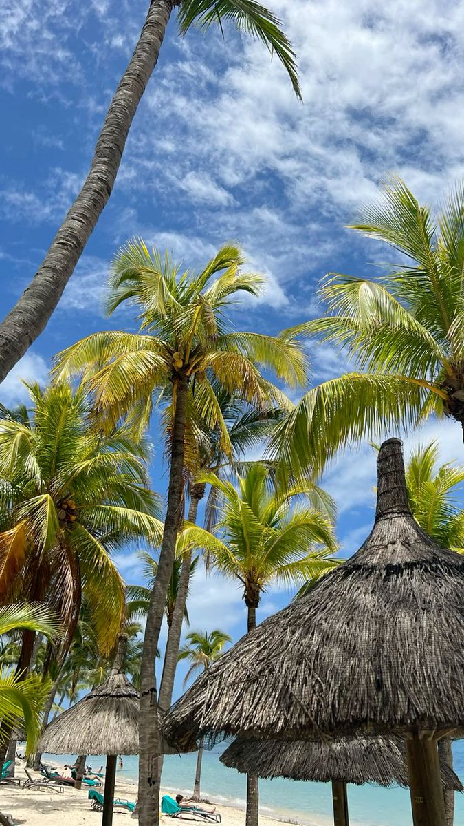 MauritiusGuide's tweet photo. Tuesday in Mauritius 😍 https://t.co/DhOF1YTnQ5