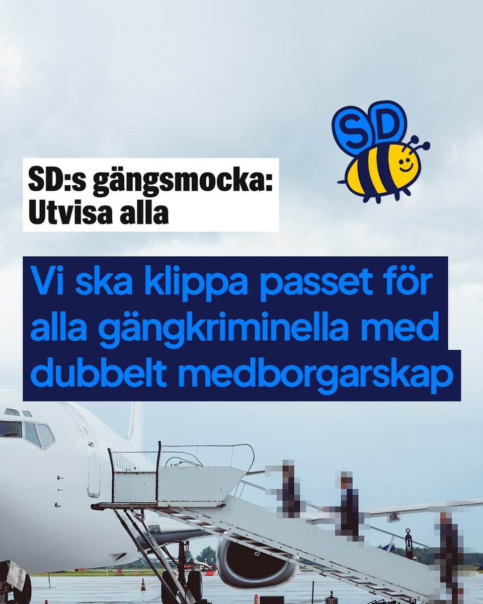 sdriks's tweet photo. Sverigedemokraterna vill fängsla och utvisa samtliga personer med dubbelt medborgarskap som är verksamma i kriminella nätverk.

Det handlar om över 3 000 individer och är en åtgärd som direkt skulle slå ut stora delar av gängen i Sverige.

Vinner vi valet ska vi införa ett nytt brott, deltagande i kriminell sammanslutning, där straffet i de grövsta fallen ska kunna bli livstid.

Samtidigt kommer vi ändra grundlagen så att den som döms för detta också kan förlora sitt svenska medborgarskap.⁩