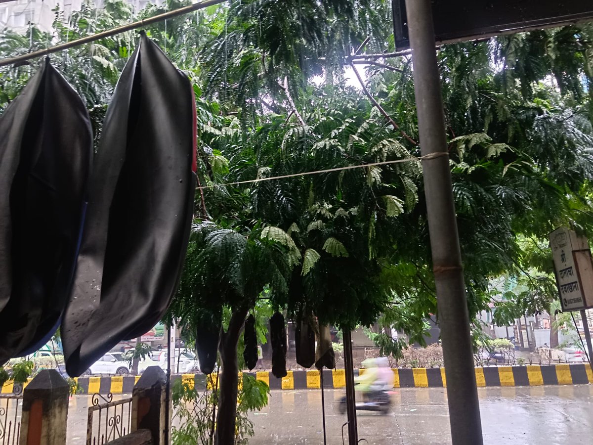 anilvarma282's tweet photo. @KDMCOfficial @Dev_Fadnavis
@CMOMaharashtra 
Tree about to fall.
Location 
Anmol Appartment Birla college Road , Bhoirwadi,  Near Shyadri Hospital Kalyan west.
Please do the needful https://t.co/e1IkiAEVp5