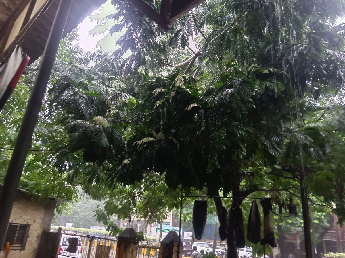 anilvarma282's tweet photo. @KDMCOfficial @Dev_Fadnavis
@CMOMaharashtra 
Tree about to fall.
Location 
Anmol Appartment Birla college Road , Bhoirwadi,  Near Shyadri Hospital Kalyan west.
Please do the needful https://t.co/e1IkiAEVp5