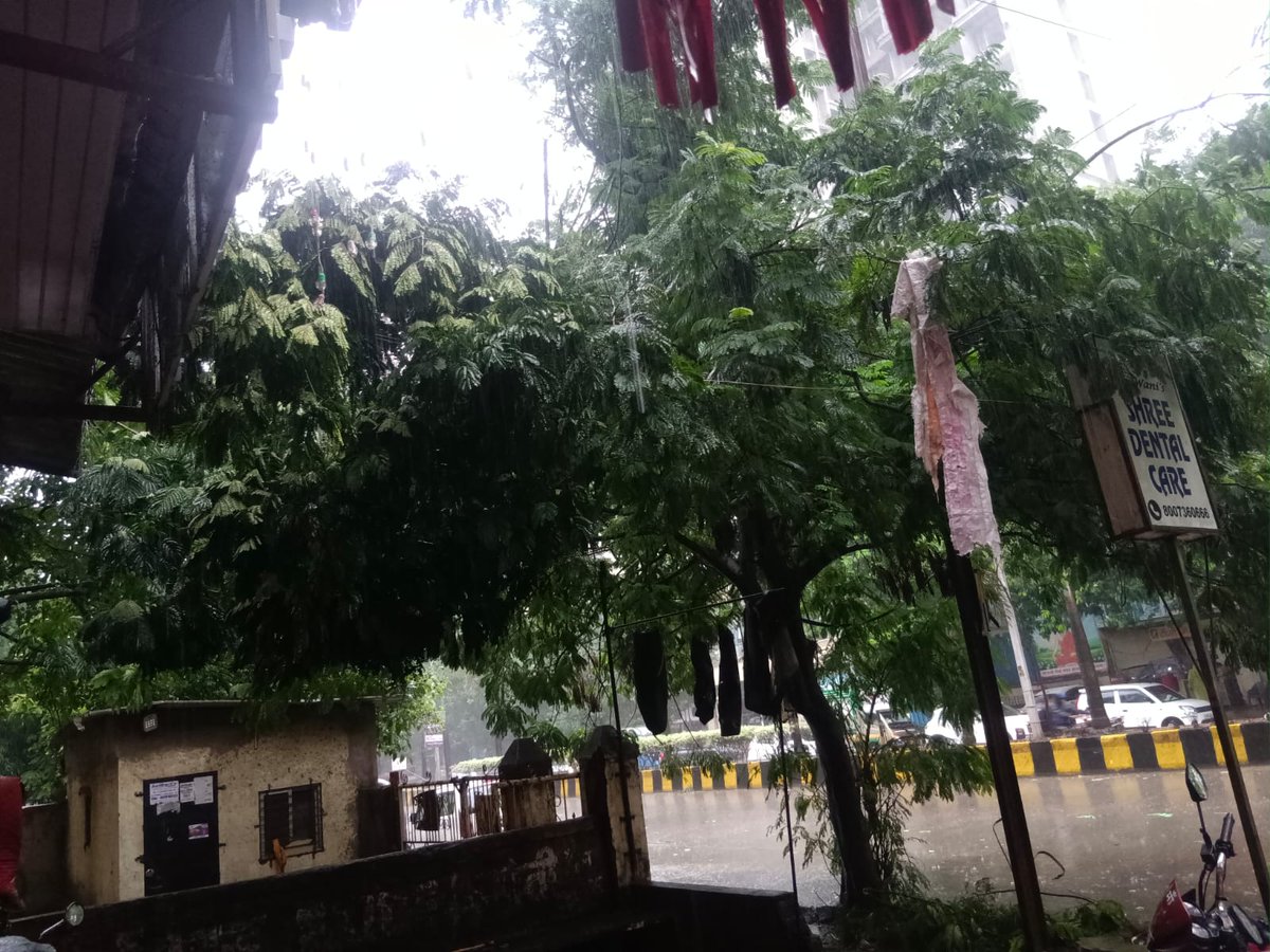anilvarma282's tweet photo. @KDMCOfficial @Dev_Fadnavis
@CMOMaharashtra 
Tree about to fall.
Location 
Anmol Appartment Birla college Road , Bhoirwadi,  Near Shyadri Hospital Kalyan west.
Please do the needful https://t.co/e1IkiAEVp5