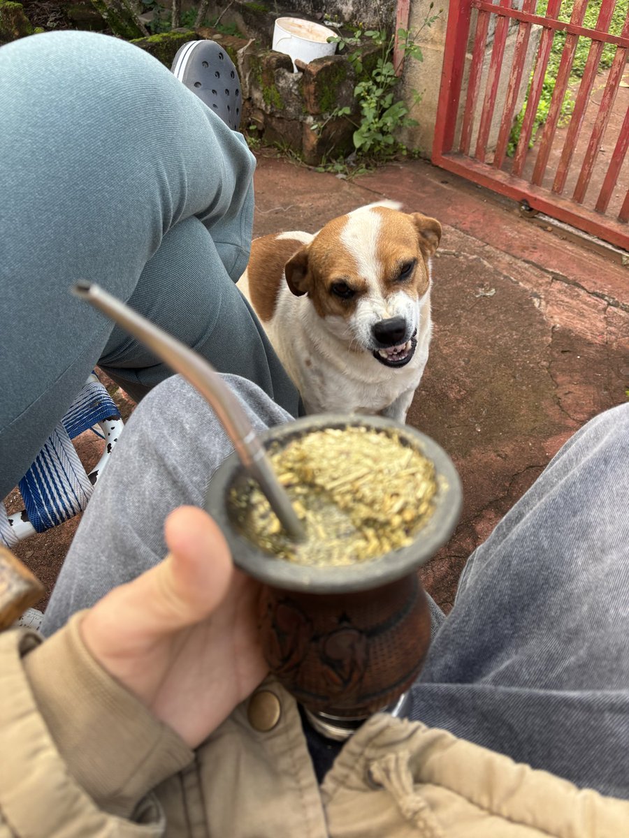mateos_pz_'s tweet photo. @macarenamont_ 😆❤️🐶 https://t.co/RjcYTglou5