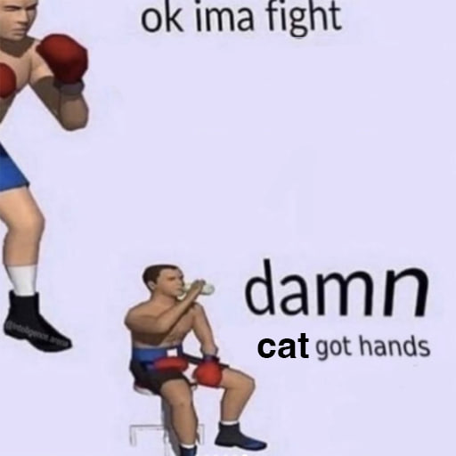 handcatmeme's tweet photo. you're no match for the cat https://t.co/Vnt7xJwLn7