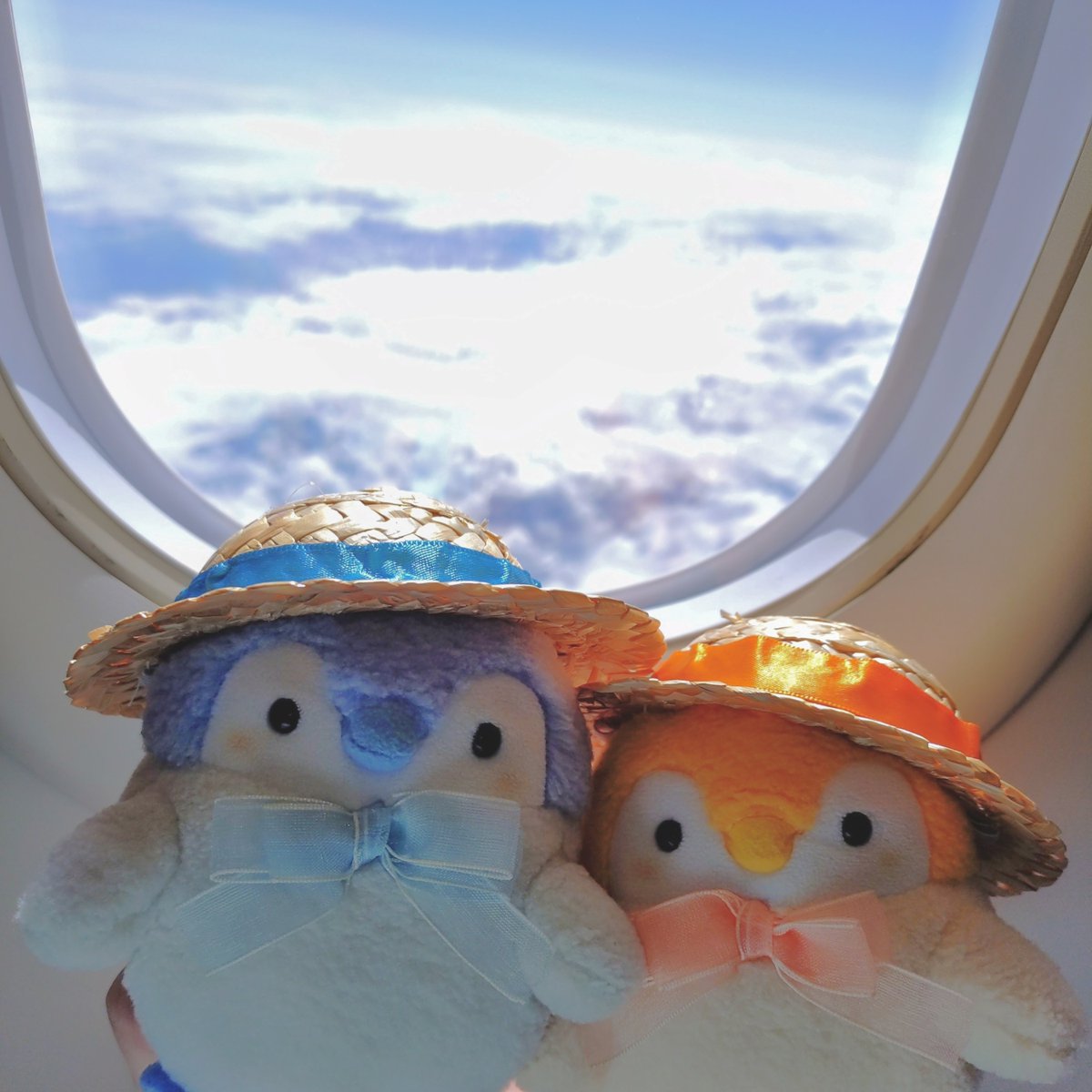 sumikkoupenchan's tweet photo. 空の旅…✈️💭
どこまで行くかも…*⋆✈

#コウペンちゃん https://t.co/R5TAo52kBk