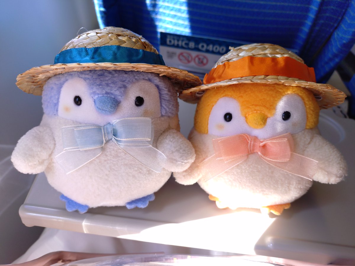 sumikkoupenchan's tweet photo. 空の旅…✈️💭
どこまで行くかも…*⋆✈

#コウペンちゃん https://t.co/R5TAo52kBk