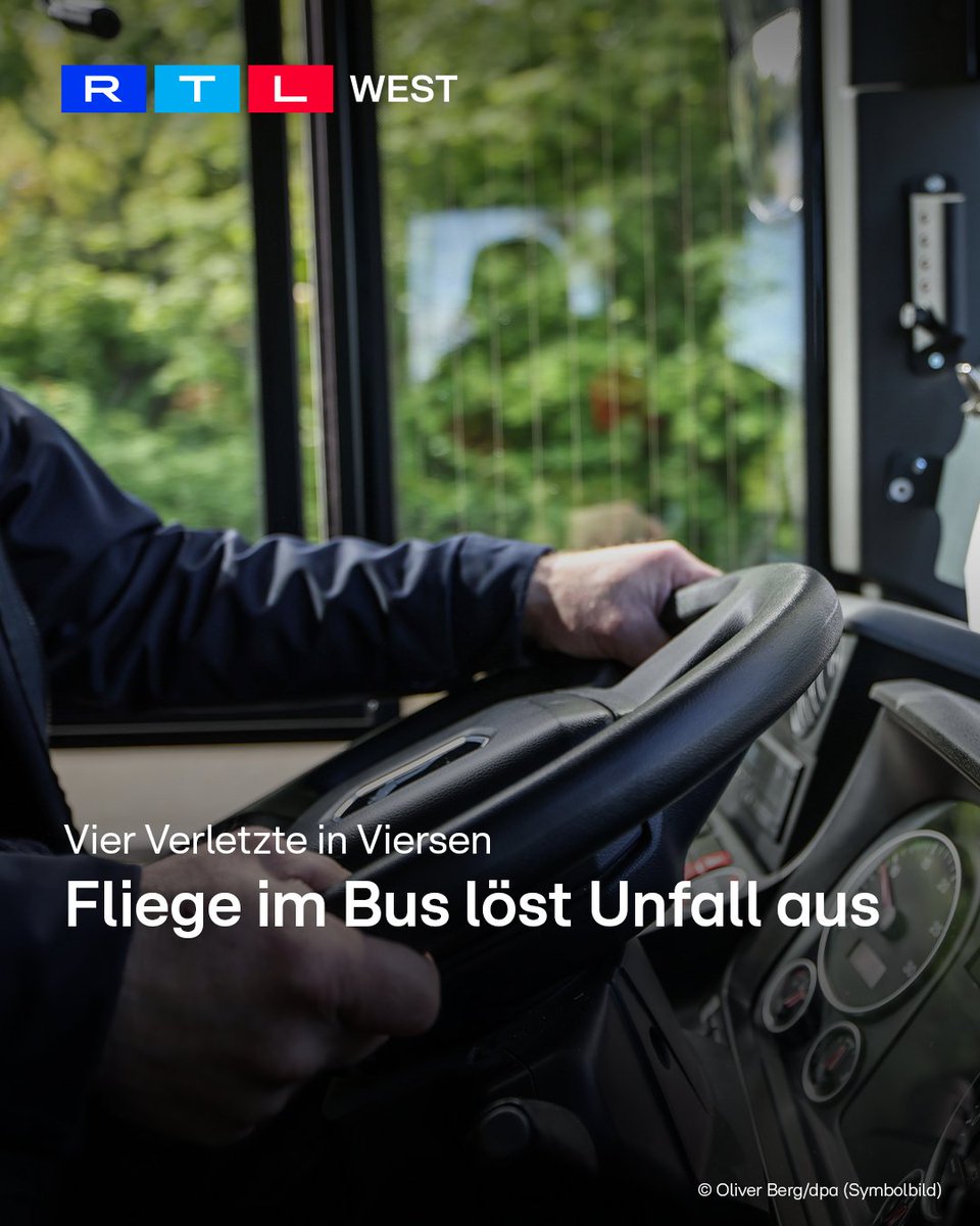 RTLWEST's tweet photo. Eine #Fliege in einem #Linienbus hat in #Viersen einen #Unfall ausgelöst. Der Busfahrer hatte am Montagmorgen (06.07.) versucht, das Tier bei der Fahrt zu verscheuchen. Dabei verlor der 54-Jährige die Kontrolle über das Fahrzeug. Der Bus kam von der Straße ab und landete in einem Zaun. Drei Frauen und ein Vierjähriger im Bus stürzten dabei. Sie wurden leicht verletzt.