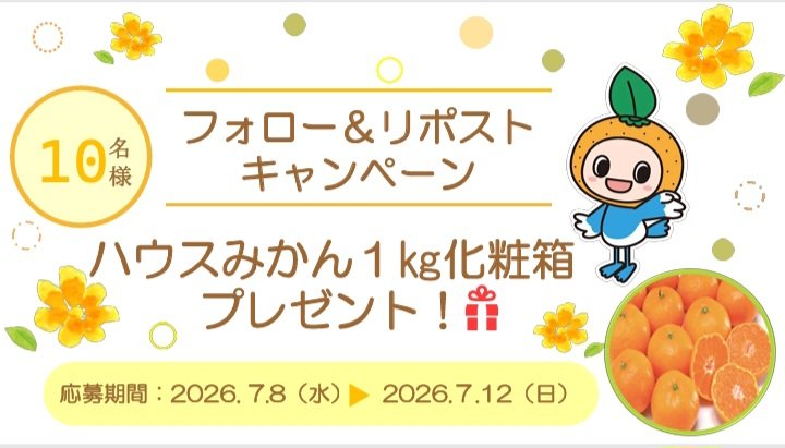 sagamikankichi's tweet photo. \🍊プレゼントキャンペーン🍊/

佐賀県産ハウスみかんを
[抽選で10名様]にプレゼント✨🎁✨

応募方法は
1.@sagamikankichiをフォロー
2.この投稿をリポスト

締切は2026年7月12日(日)まで！

詳しくはこちら↓
https://t.co/jNviYwuCK2

当選者にはDMでご連絡します💌 https://t.co/6SuxoWJCqw