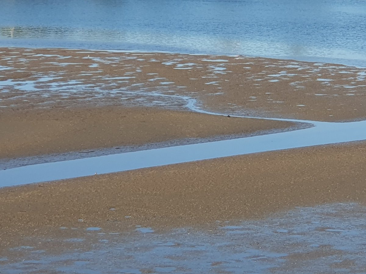 BayPropertyPro's tweet photo. Observation.

Reflection.

Peaceful connection.

These are three aspects of my process in creating spaces that nourish.

Our homes shape our entire lives and to create a truly magical space requires a peaceful inner state.

No rushing.

No pushing.

Just openness & acceptance.

It's amazing what comes through in quiet mediation. 

This is the foundation of my creative process once your journey begins.

If you would like to come into one of my design packages, use the contact form on the website telling me about your project. I'll guide you toward the best next step for your individual situation & circumstances. 

I'm looking forward to meeting you & assisting you on your journey to a nourishing space ✨️