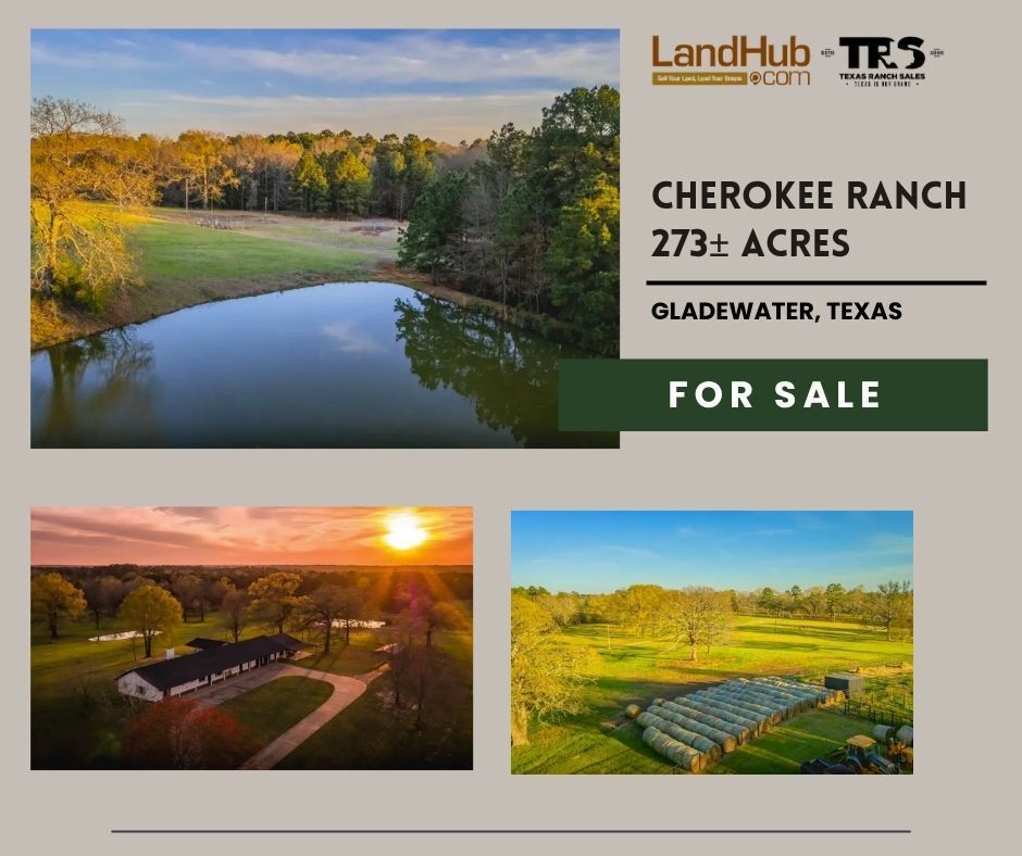 landhub's tweet photo. Cherokee Ranch | 273± Acres in Gregg County, Texas
Property Highlights:
• Frontage on W George Richey Rd
• Easy access from Longview, Tyler & Dallas
• Recently remodeled 3,000± sq ft ranch home
LEARN MORE 👉 https://t.co/K0KComKeUE
#ranch #timberland #cattleranch #home https://t.co/nbSGDrtbif
