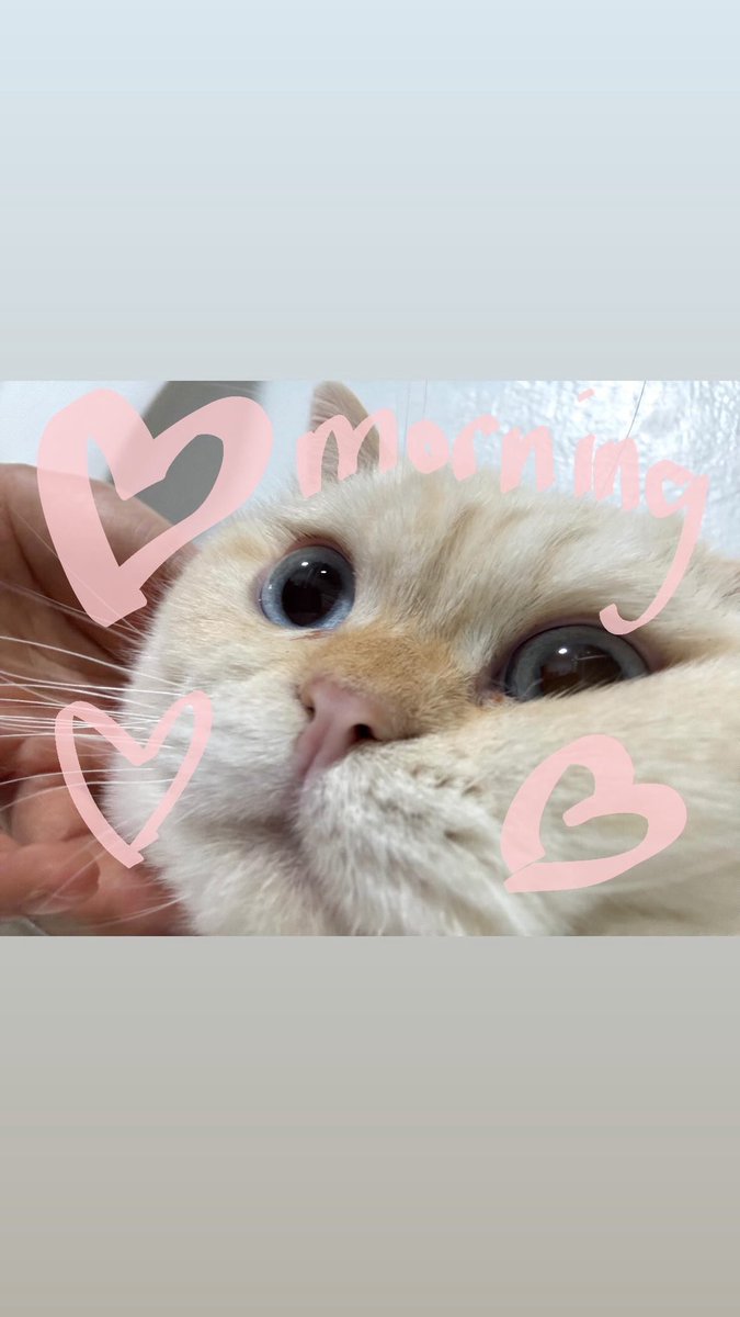 NnutdanPH's tweet photo. ୧ IG BROADCAST UPDATE ୨୧

📅 : 070726
👤 :🥜🤍
💌 :

#nnutdan #NnutdanPH #LYKN https://t.co/R2uNHTgWJS
