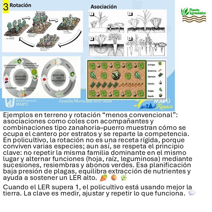 planetagronomic's tweet photo. LER y policultivos: eficiencia real del suelo 🌱
El uso equivalente de la tierra (LER) pone números a la agroecología: si LER>1, la mezcla produce más que el monocultivo con la misma superficie. Desliza las imágenes👉 y escanea el código QR https://t.co/34blKCkmZt