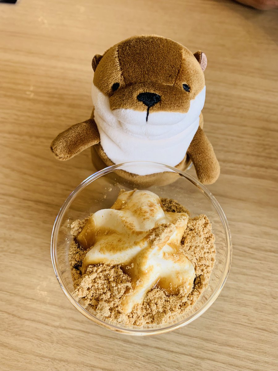 coconut_tunococ's tweet photo. 黒蜜きなこソフトクリーム食べたよ🍦✨

#ぬい撮り
#ぬいぐるみ
#もちかわうそ https://t.co/5si30Fg6i1