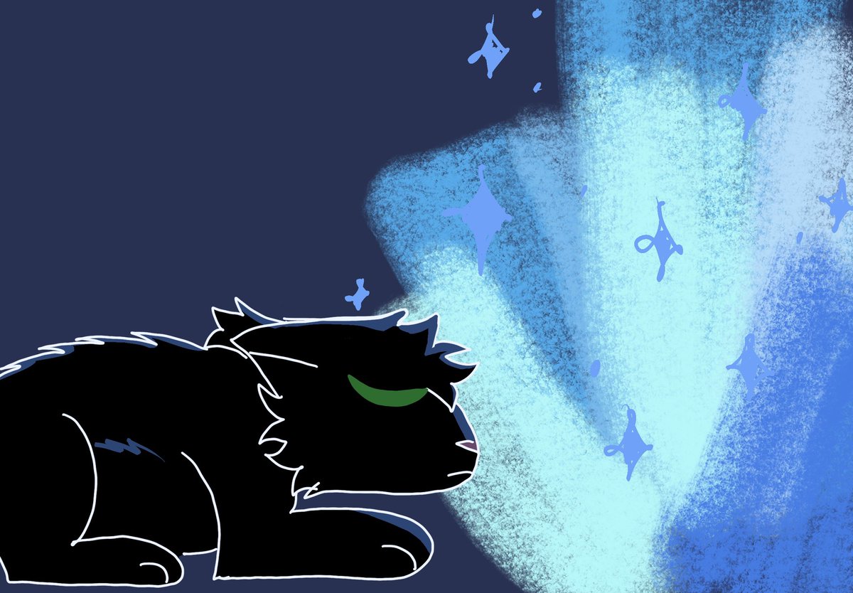 SnowwyK1tty's tweet photo. Shadowstars receiving 9 lives #tallshadow #dotc #warriorcats #wc #shadowstar https://t.co/R1WyjNmOqp