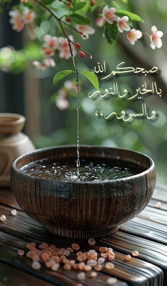 tdkr78727233's tweet photo. "يا الله
      إنَّ اليُسرَ جُندٌ مِن جنودِكَ
        فسخِّره لي وأيِّدنيَ به"🦋

#اللهــم_آمين
#صباح_آلخيــــر 

' https://t.co/3yPqtDy10p