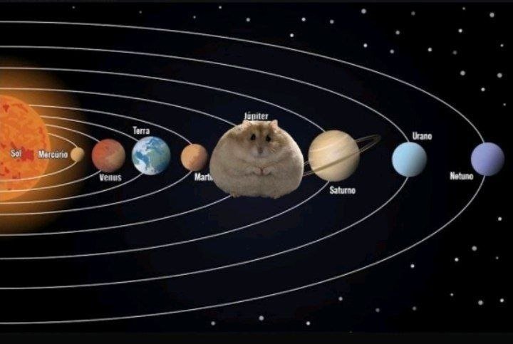 TweetsOfHamster's tweet photo. 🌔🌍🐹🪐🌗🌝 https://t.co/kCOyVh1rpg