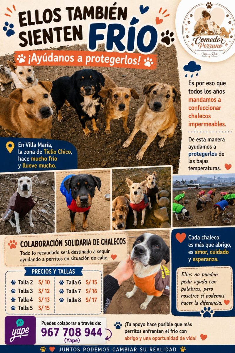 dame_una_pata's tweet photo. Como todos los años empezamos con nuestra campaña abrigando a un Lomito sin hogar 
En esta zona de Villa Maria ( ticlio chico ) la temperatura es muy baja en esta temporada..aquí ya está lloviendo y necesitamos proteger a nuestros guapitos
Porfavor ayúdame compartiendo este post y así poder juntar para sus chalequitos 
Ya mande hacer sus abrigos como siempre con la mejor La sra Elsita que nos da precios muy cómodos , los chalequitos son super abrigadores con cintas reflectivas para que los puedan veer en las noches y así no los lastimen
El día de mañana los recogeré y ahora debemos juntar para poder hacer el pago

Cada chalequito ellos lo recibirán con mucho amor
Si quieres apadrinar abajo 👇 esta la lista de los precios
Costo máximo por chalequito es de 18 soles 
Yape 967708944
Muchas gracias