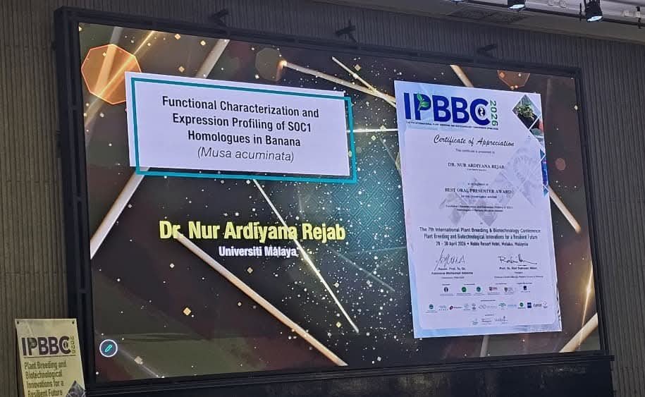 UM_CEBAR's tweet photo. Throwback: CEBAR represented by Dr Fiqri Dizar & Ms Kausalyaa Kaliapan at the 7th International Plant Breeding and Biotechnology Conference in Melaka
Huge congratulations to Dr Nur Ardiyana Rejab on winning the Best Oral Presenter Award!
#CEBAR #PlantBreeding #Biotechnology https://t.co/cDlS0iml8c